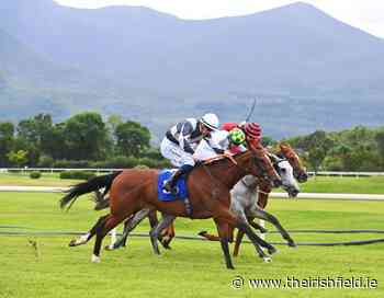 KILLARNEY WEDNESDAY: Improving Cigamia claims Cairn Rouge - The Irish Field