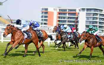 Horse racing predictions: Newbury, Hamilton and Killarney – Friday July 15 - The Telegraph