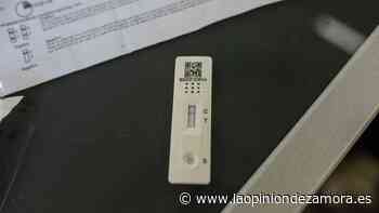 La séptima ola COVID se resiste a ceder en Zamora: sigue con contagios y fallecidos - La Opinión de Zamora