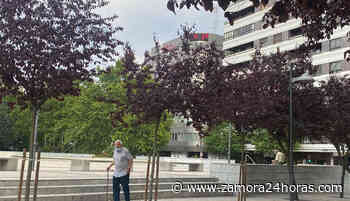 Zamora vuelve a vivir una tarde de calor asfixiante - Zamora24horas.com