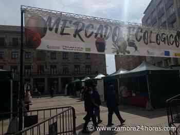 Nueva edición del Mercado Ecológico de Zamora - Zamora24horas.com