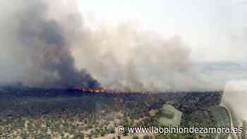La vía férrea Medina del Campo-Zamora, cortada por un incendio en Castronuño (Valladolid) - La Opinión de Zamora