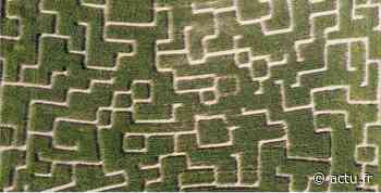 L’ouverture du labyrinthe de maïs à la ferme de Romainville à Magny-les-Hameaux est avancée - actu.fr