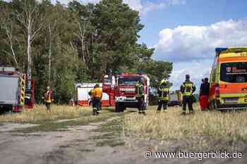 Brandenburger Forst: wie ein vertrockneter Adventskranz - Brennpunkt - Bürgerblick Passau