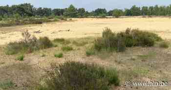 Wandeling door Kalmthoutse Heide naar station van Essen - Het Laatste Nieuws