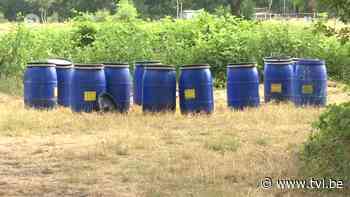 12 jaar cel voor crimineel drugsdumpende crimineel uit Kinrooi - TV Limburg