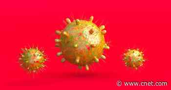 Meet BA.5, Omicron's Extremely Contagious Subvariant     - CNET