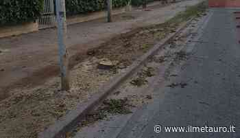 "Le lacrime di coccodrillo a Fossombrone" - Il Giornale del Metauro