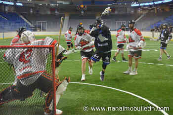 Nanaimo Timbermen move into first place in the league – Nanaimo News Bulletin - Nanaimo Bulletin