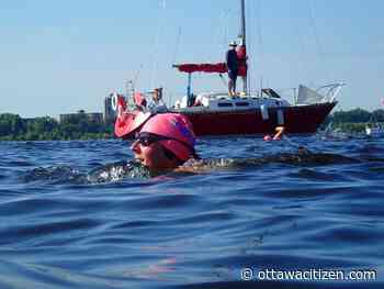 Bring on the Bay: Hundreds of swimmers take part in open water swim on the Ottawa River