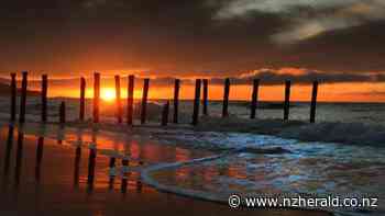 Last pole in groyne at St Clair Beach has washed away - New Zealand Herald