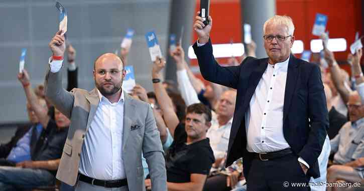 Nach Wahlchaos: Frohnmaier und Sänze bilden AfD-Doppelspitze