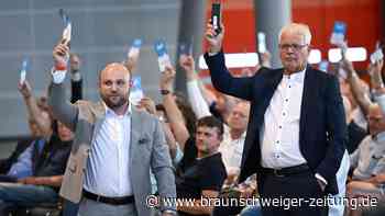Nach Wahlchaos: Frohnmaier und Sänze bilden AfD-Doppelspitze