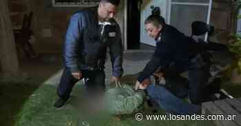 Detienen en Buenos Aires a un joven que homenajeaba a los autores de una de las peores masacres escolares en EE.UU. | Policiales - Los Andes (Mendoza)
