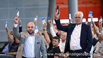 Nach Wahlchaos: Frohnmaier und Sänze bilden AfD-Doppelspitze