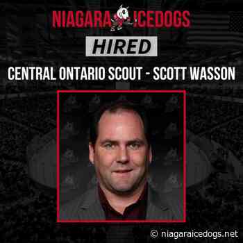 IceDogs Announce Scott Wasson as Central Ontario Scout – Niagara IceDogs - Niagara IceDogs