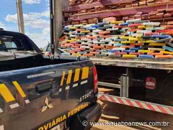 PRF apreende em Primavera do Leste 122 kg de cocaína escondida em carga de caminhão de madeira :: Agua Boa News - Água Boa News