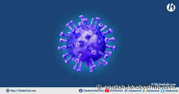 Nepal sees 205 new coronavirus cases in past 24 hours - Khabarhub