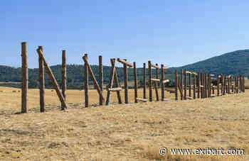 Hypermaremma: l’opera di Claudia Comte a Pescia Fiorentina. Intervista ai fondatori - ExibArt