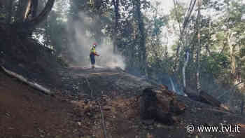 Pescia. In fumo 15 ettari di castagneti - Notizie - TVL - News