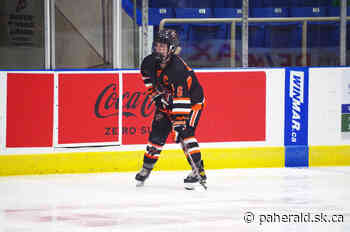 Bears captain Dawson excited to join Maryville University - Prince Albert Daily Herald