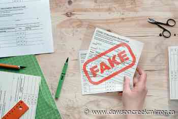 BC COVID-19: Nurse suspended for creating fake vaccine cards - Dawson Creek Mirror