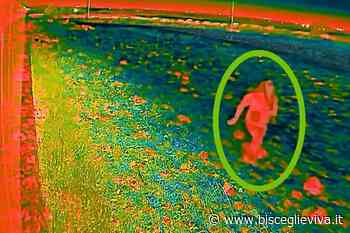 Metronotte sventano furto in un opificio sulla Trani-Andria - BisceglieViva