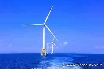 Pale eoliche offshore fra Bisceglie e Trani, Pro Natura: «Si difenda il territorio» - BisceglieViva