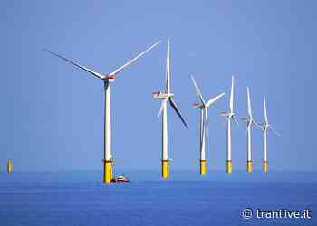 Parco eolico al largo di Trani. Bottaro: «Forse male minore» - TraniLive