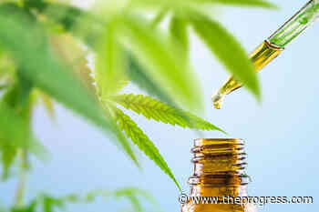 Hope council supports first non-medical cannabis shop – Chilliwack Progress - Chilliwack Progress