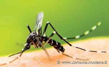 Virus Dengue: trattamenti in zona Albareto - Comune di Modena
