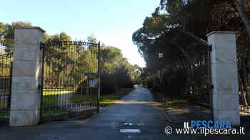 "La pioggia nel pineto" compie 120 anni: una canzone per celebrarla come simbolo di rinascita - IlPescara