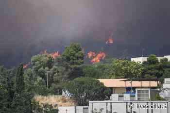 Bosco a fuoco tra Enna e Piazza Armerina: fiamme minacciano le case - Livesicilia.it