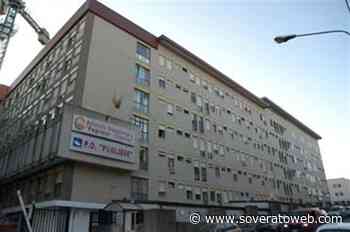 Ferita da un elefante, restano critiche le condizioni della 46enne - Soverato Web