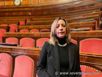 Caso Guardavalle, il commento di Silvia Vono (FI) - Soverato Web