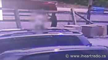 Police release video of elderly woman assaulted in Markham to identify suspect - iHeartRadio.ca