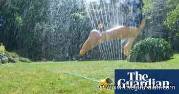 ‘Summer can be anxiety-inducing’: how parents cope with childcare - The Guardian