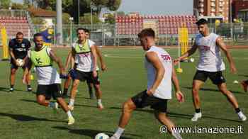 Pontedera, proseguono le doppie sedute giornaliere Mister Catalano può lavorare a ranghi completi - LA NAZIONE