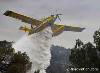Pilot killed in Portugal air tanker crash - Fire Aviation