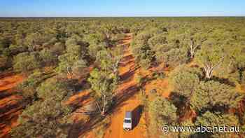 Queensland's electric vehicle charging network to extend west