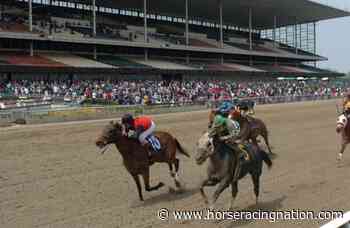 Trainer Englehart is suspended for phenylbutazone finding - Horse Racing Nation