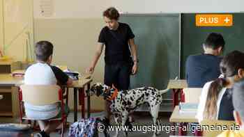 Bella und Yuki: Die Schulhunde sind die Stars an einer Augsburger Schule