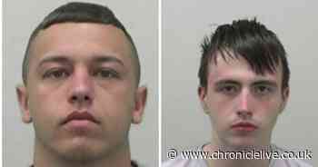 10 baby-faced North East criminals brought to justice so far this year - Chronicle Live