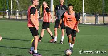 Patrick De Vogelaere hervat de trainingen met FC Pepingen-Halle: “Graag een seizoen zonder stress” - Het Laatste Nieuws