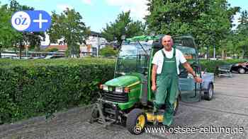 Stralsund: Der beste unter 300 - Hausmeister, Gärtner im Strelapark - Ostsee Zeitung