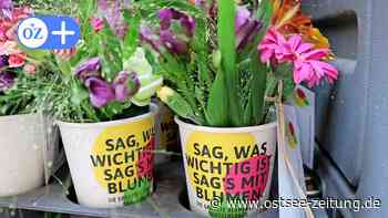 OZ-Kolumne aus Stralsund: Eine Woche voller Überraschungen - Ostsee Zeitung