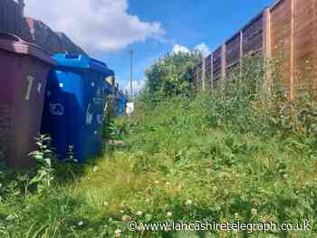 Blackburn residents angry at overgrown alley 'can't take bins out'