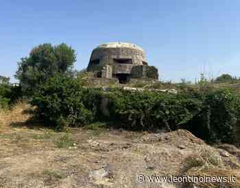 Lentini, recupero area sul ponte dei malati: l'associazione Radici Leontine promuove il progetto Husky - Leontinoi News - Leontinoi News