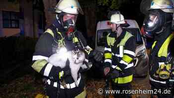 Flammen schlagen aus Wohnung - Polizei nennt weitere Details zum Feuerwehr-Einsatz