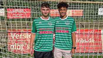 Brandenburgliga: SC Falkensee-Finkenkrug verpflichtet zwei junge Talente - Märkische Allgemeine Zeitung